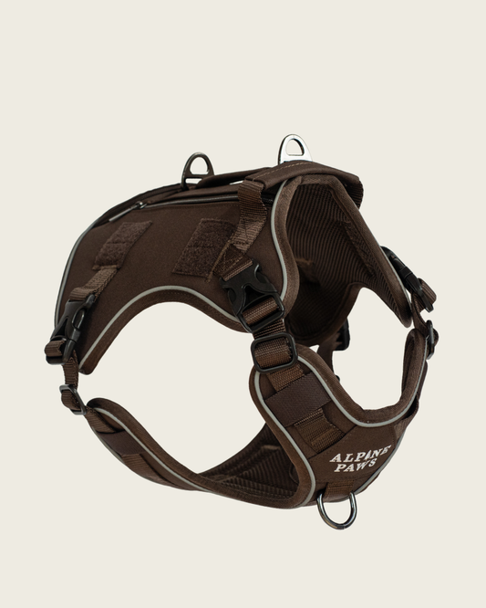Alpine Adventure Harness - Peat Brown