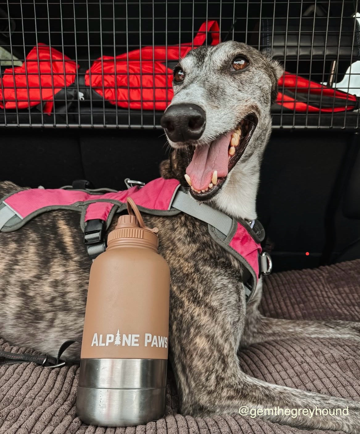 Mocha Brown Travel Bottle