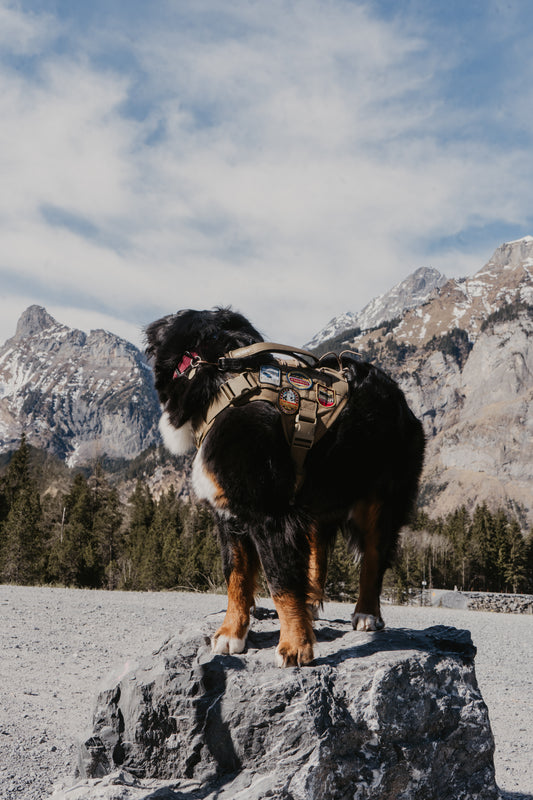 Yorkshire Dales National Park Patch