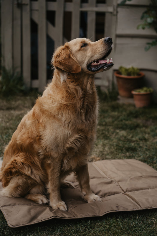 Natural Earth Travel Mat