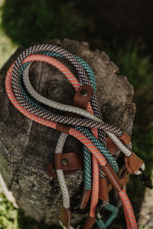 Multicolored reflective rope dog leads with brown leather ends on a wooden log