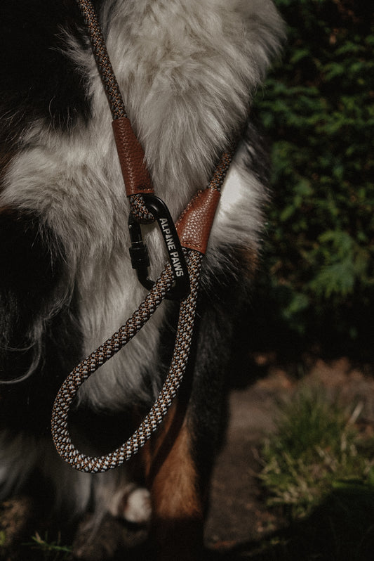 Timber Reflective Altitude Lead