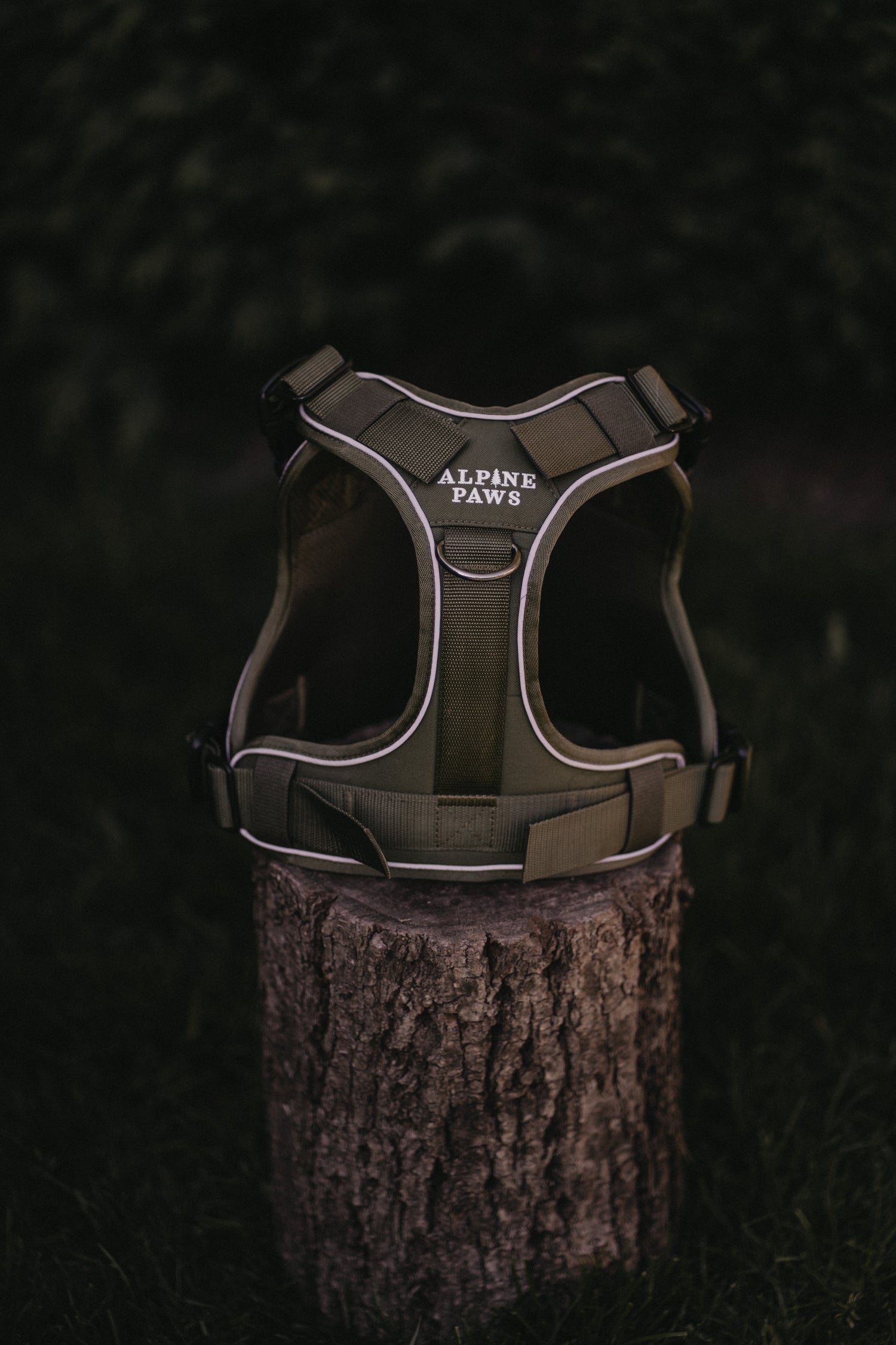 Harnesses
