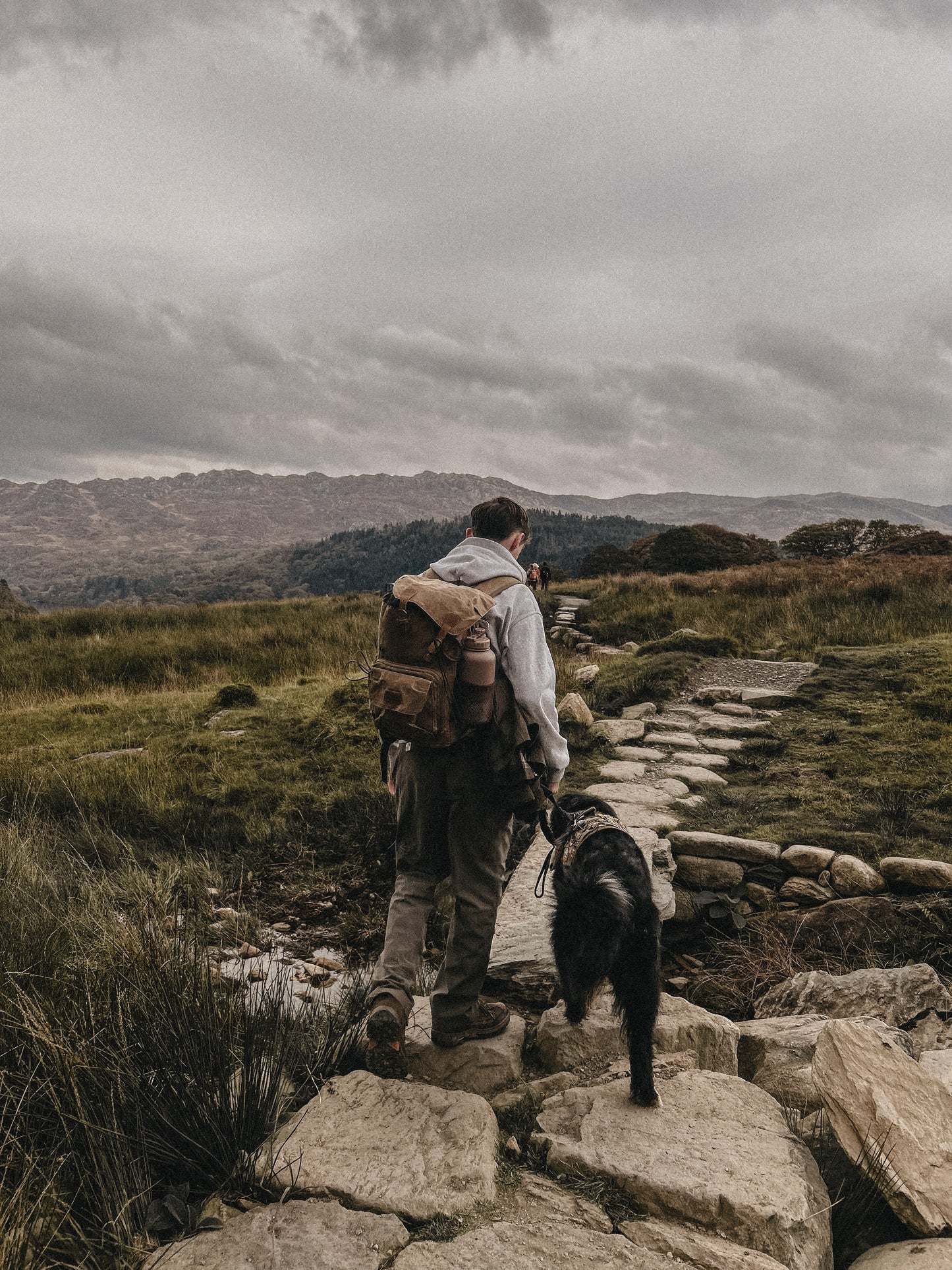Mocha Brown Travel Bottle