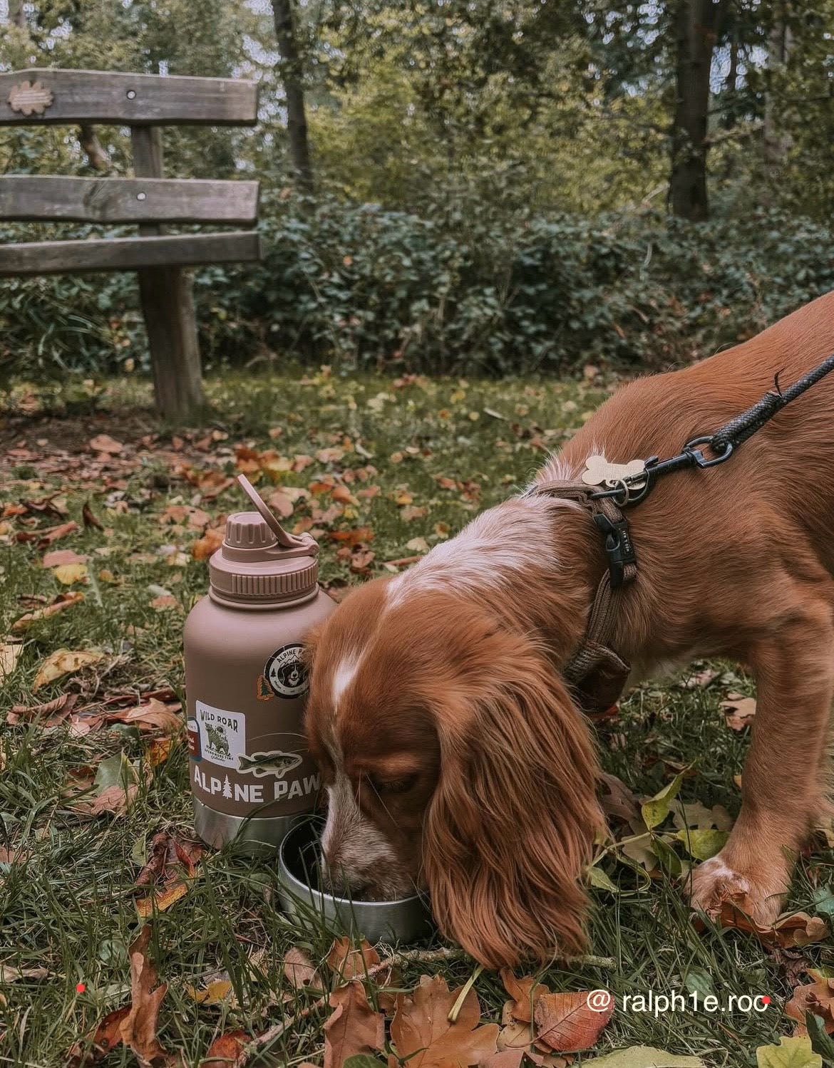 Mocha Brown Travel Bottle