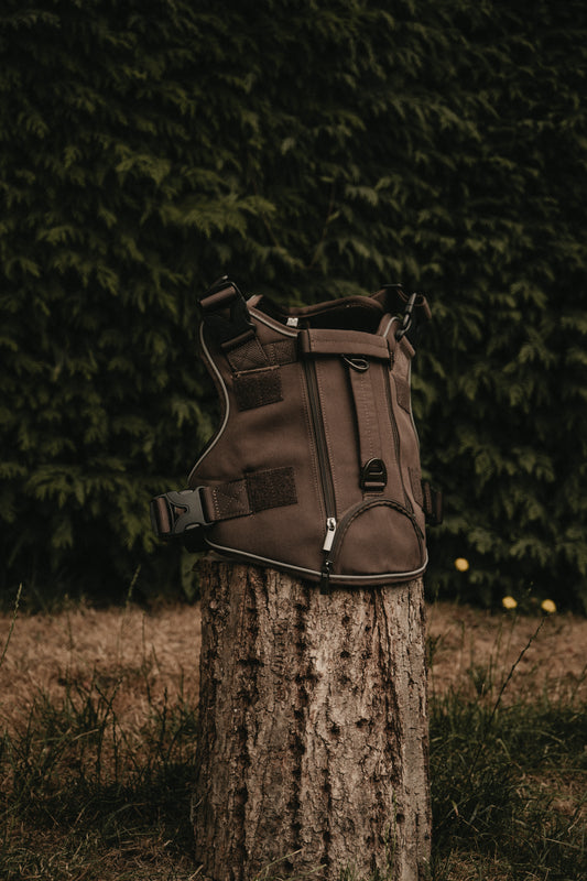 Alpine Adventure Harness - Peat Brown