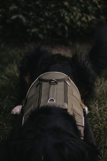 Alpine Adventure Harness - Moss Green