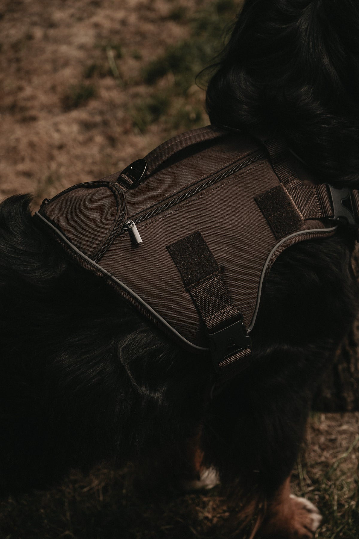 Alpine Adventure Harness - Peat Brown