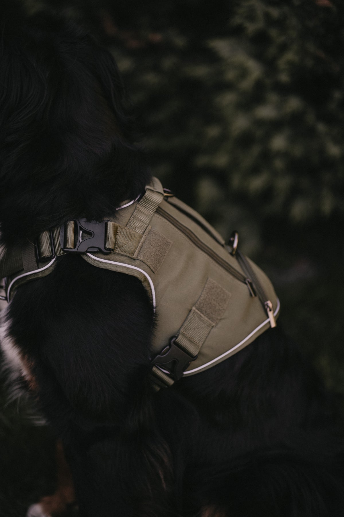 Alpine Adventure Harness - Moss Green