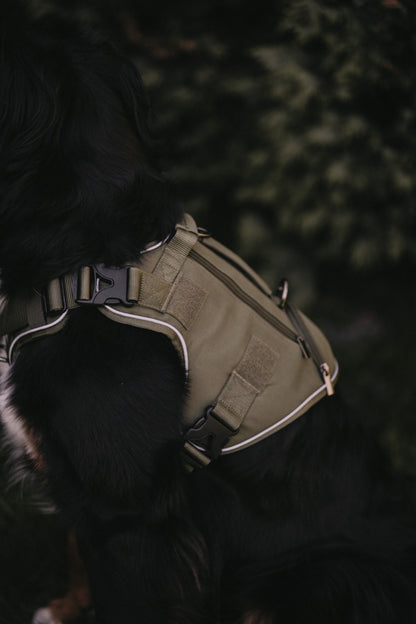 Alpine Adventure Harness - Moss Green