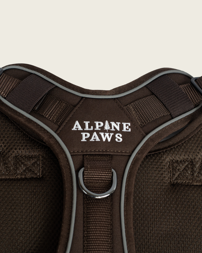 Alpine Adventure Harness - Peat Brown