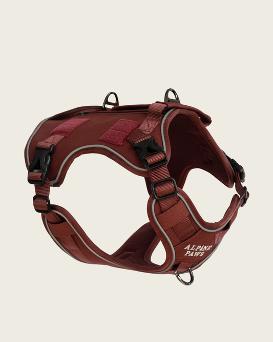 Alpine Adventure Harness - Russet Red