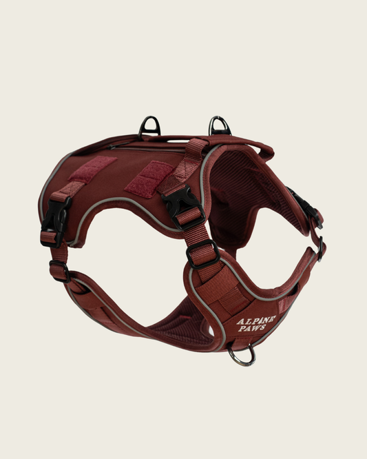 Brown dog harness on a beige background