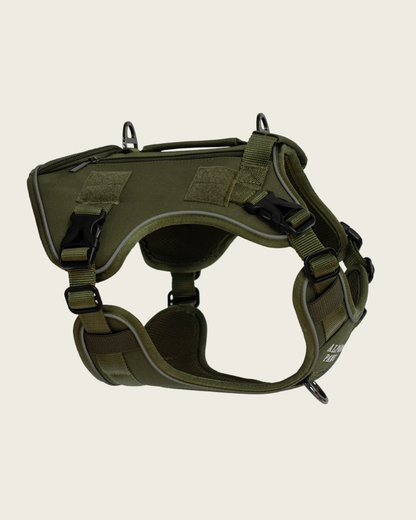 Alpine Adventure Harness - Moss Green