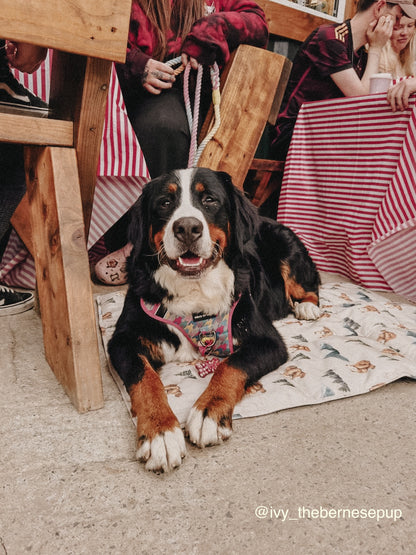 Alpine Bear Travel Mat