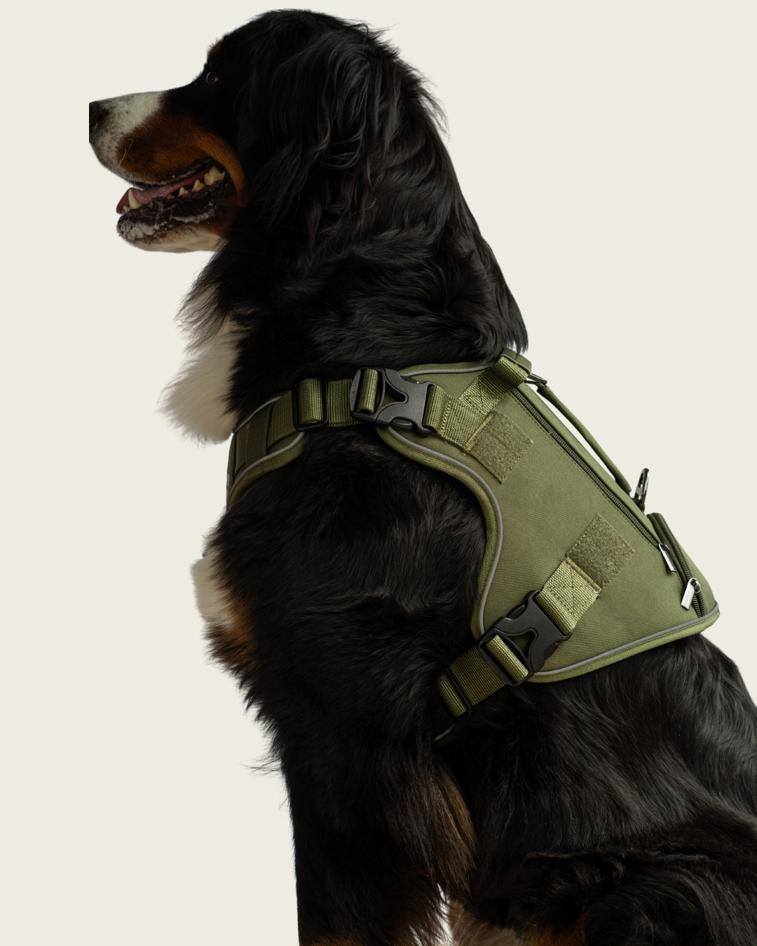 Alpine Adventure Harness - Moss Green
