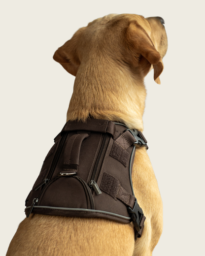 Alpine Adventure Harness - Peat Brown