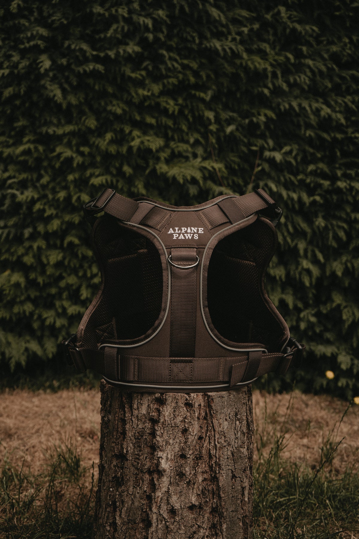 Alpine Adventure Harness - Peat Brown