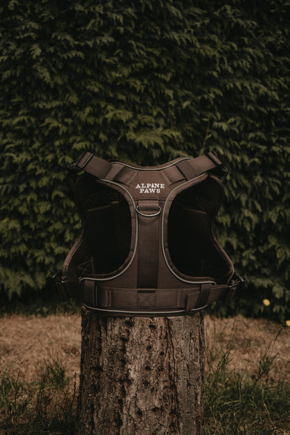 Alpine Adventure Harness - Peat Brown