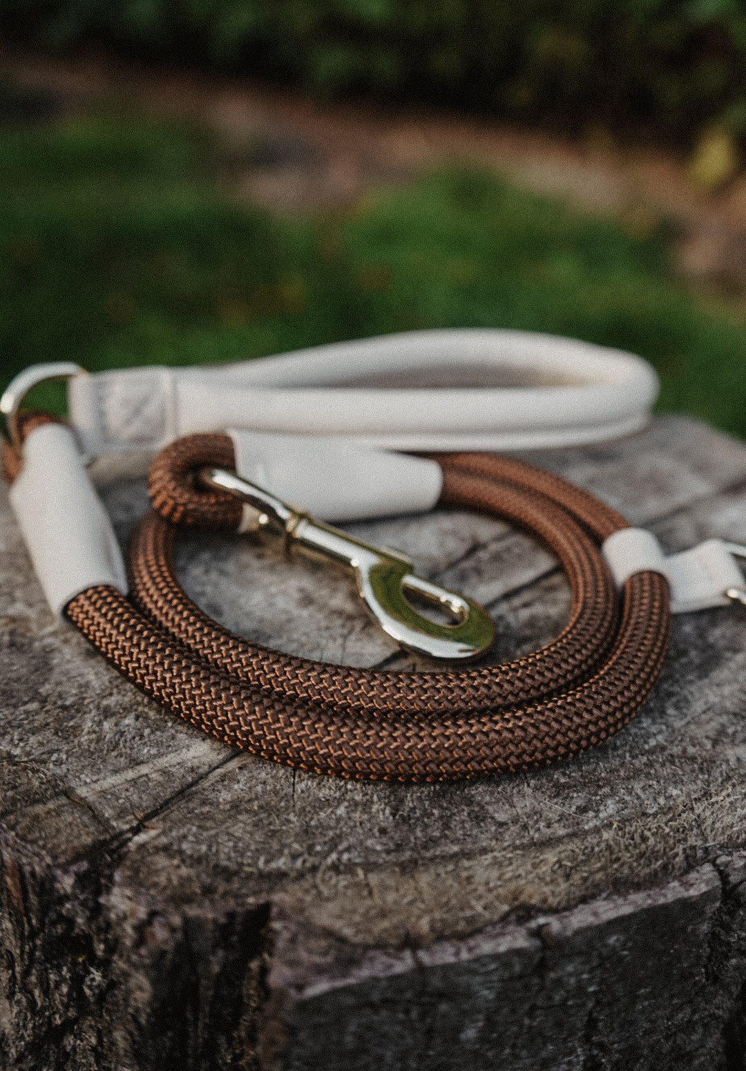 Espresso About Town Lead