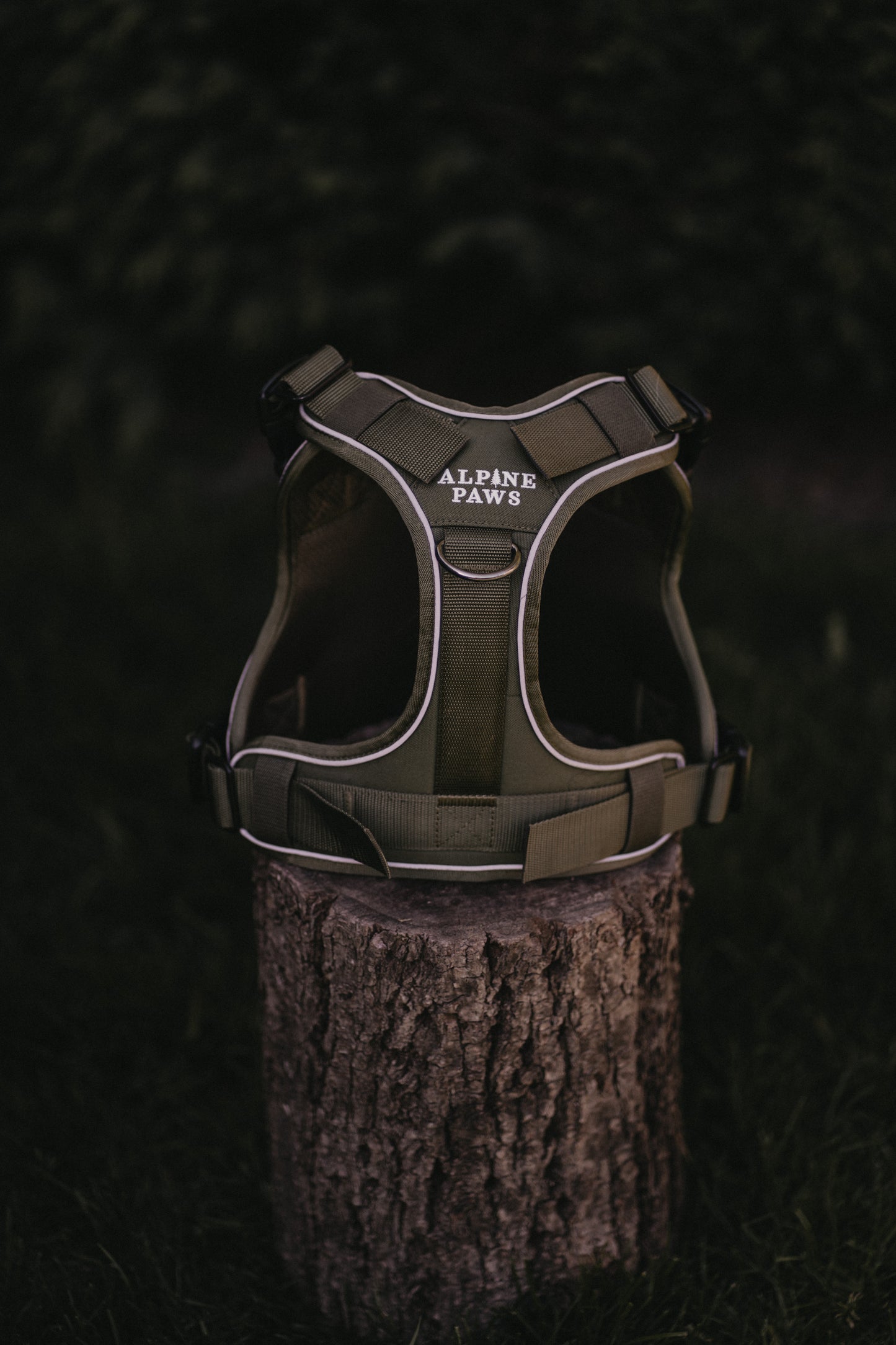 Alpine Adventure Harness - Moss Green