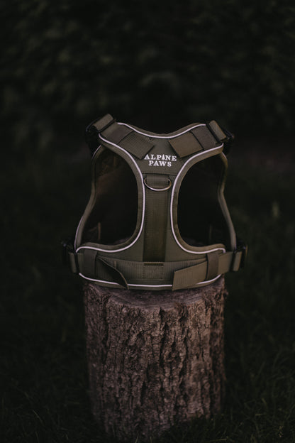 Alpine Adventure Harness - Moss Green