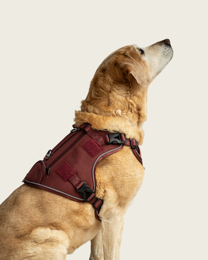 Alpine Adventure Harness - Russet Red