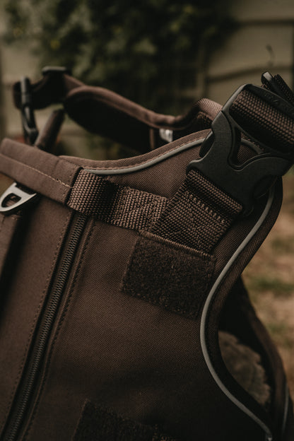 Alpine Adventure Harness - Peat Brown