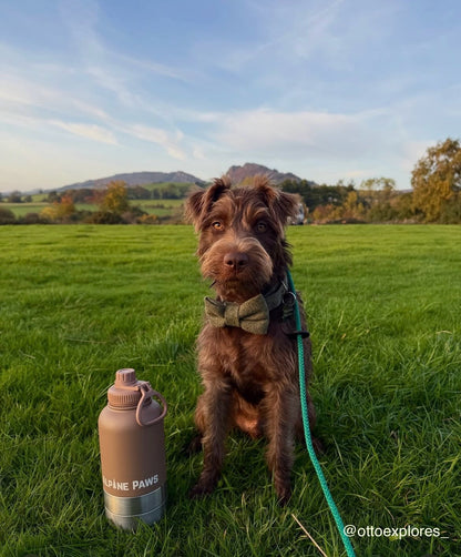 Mocha Brown Travel Bottle