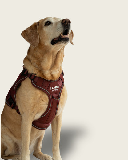 Alpine Adventure Harness - Russet Red