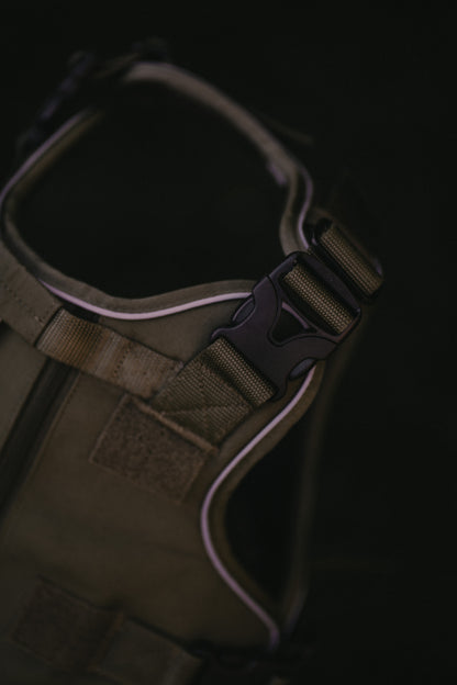 Alpine Adventure Harness - Moss Green