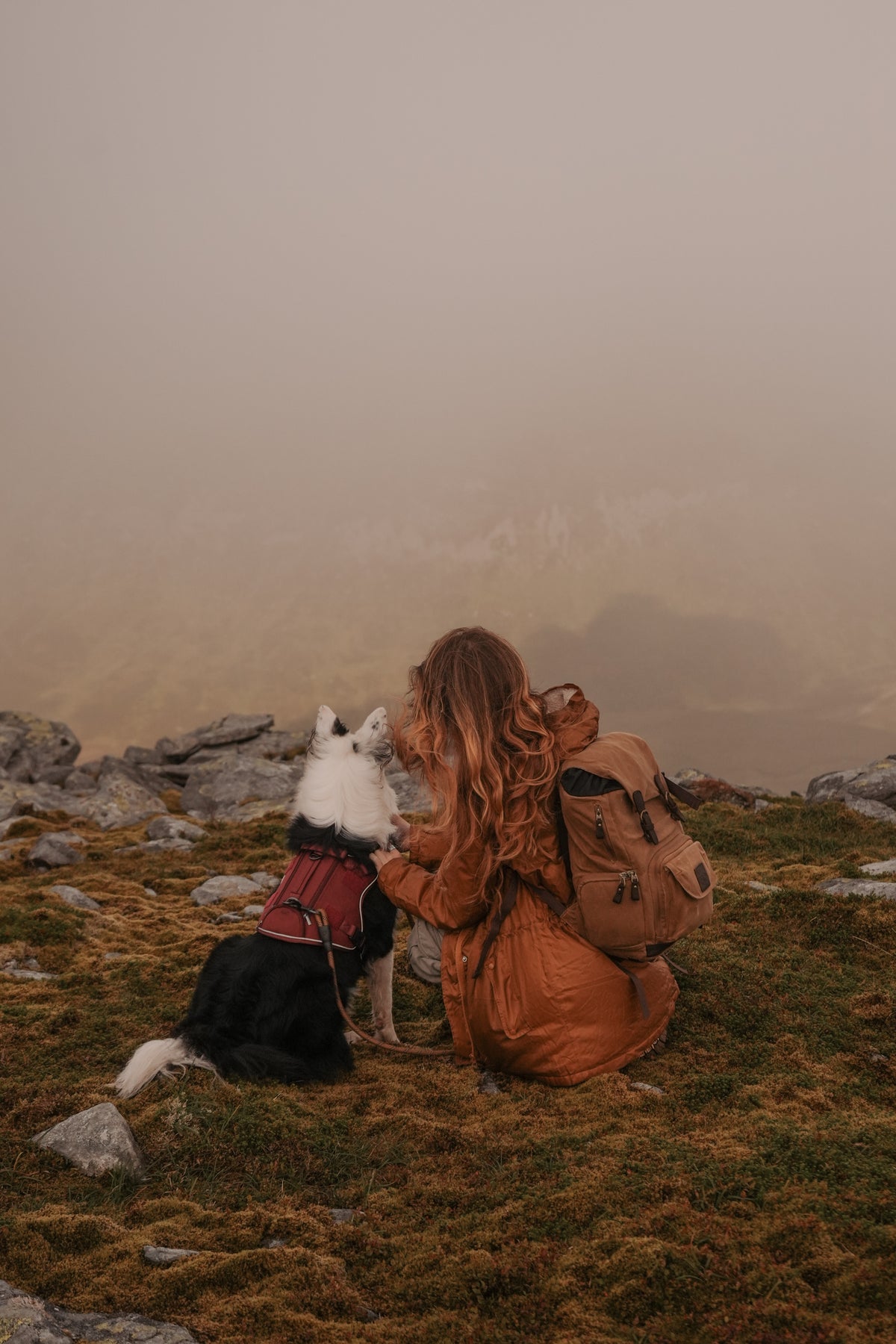 A woman in a backpack sat on a grassy mountain ridge with a collie dog wearing a red adventure harness, both facing a foggy, misty mountain landscape.