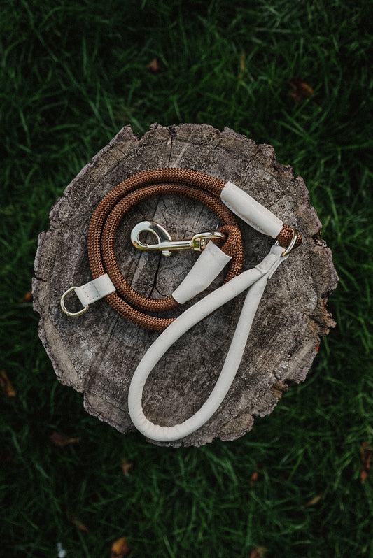 Espresso About Town Lead