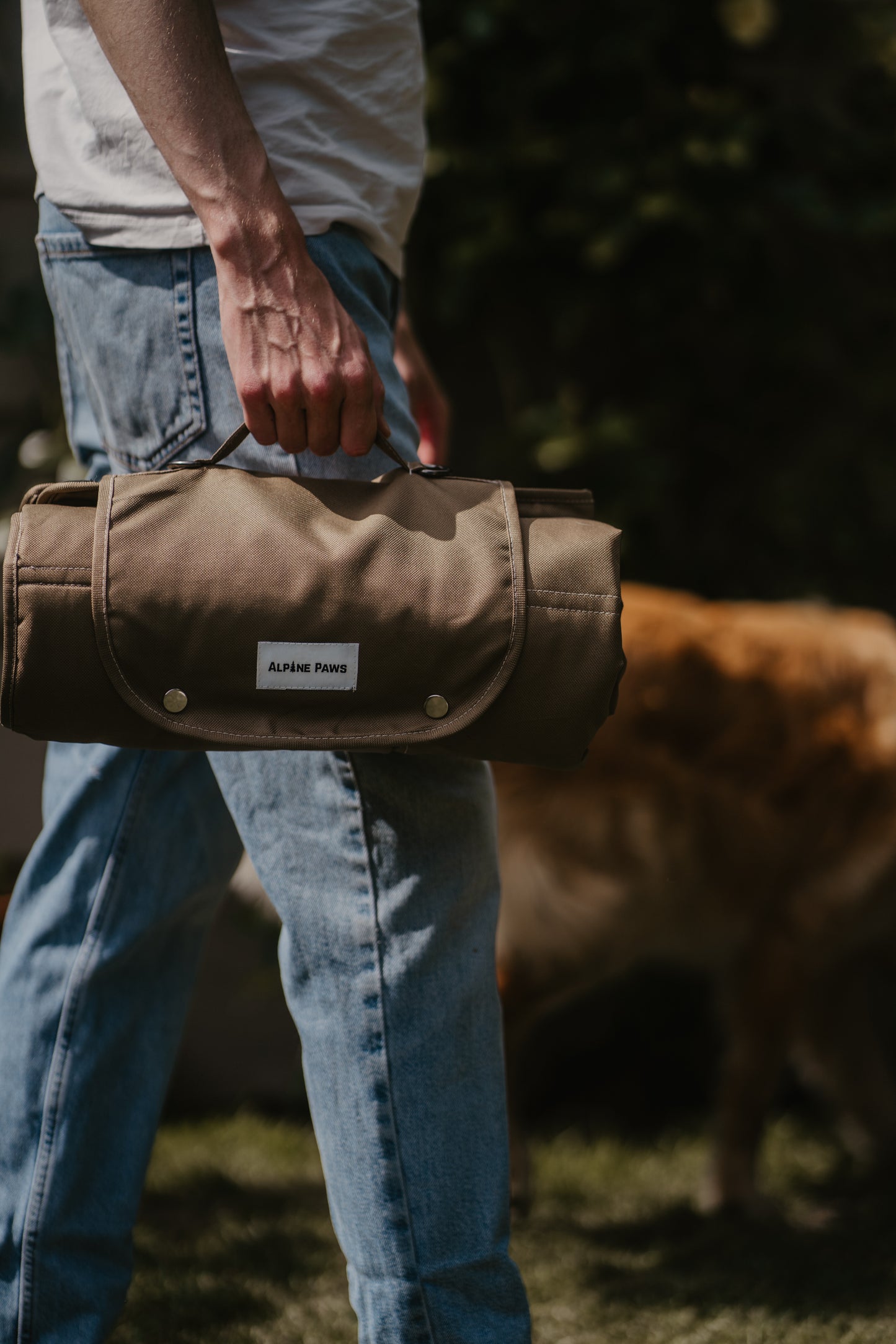Portable Dog Travel Mat