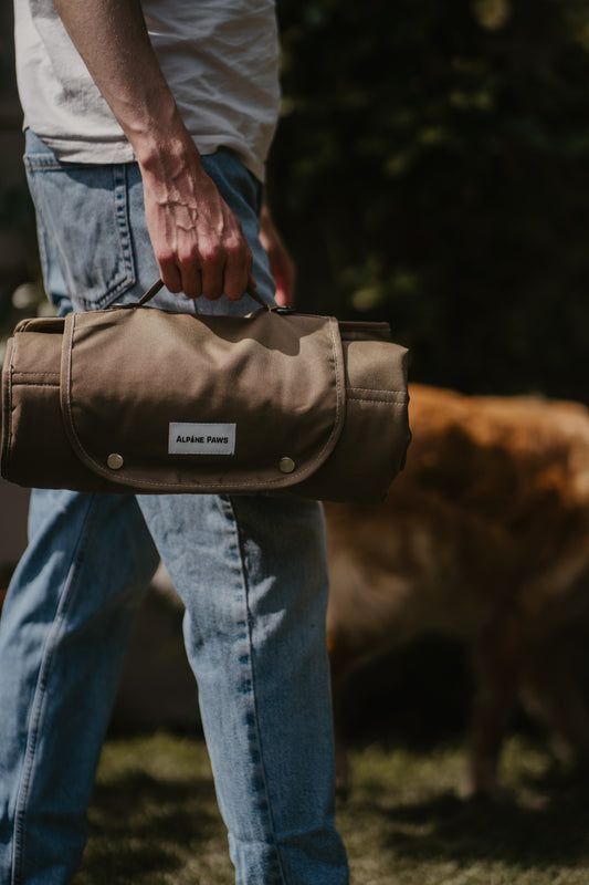 Natural Earth Travel Mat