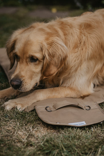Portable Dog Travel Mat