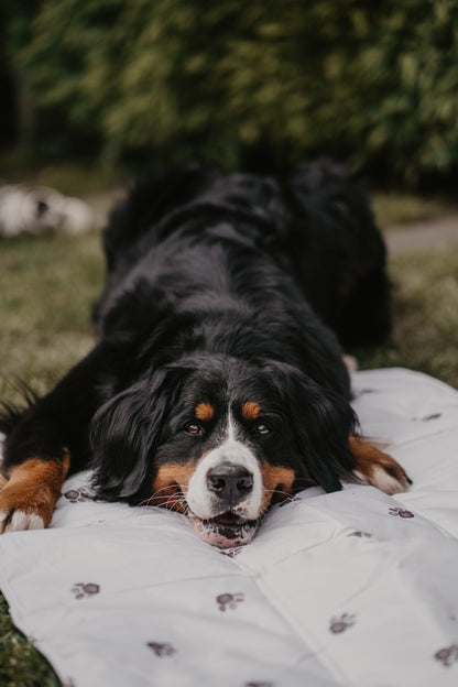 Portable Dog Travel Mat