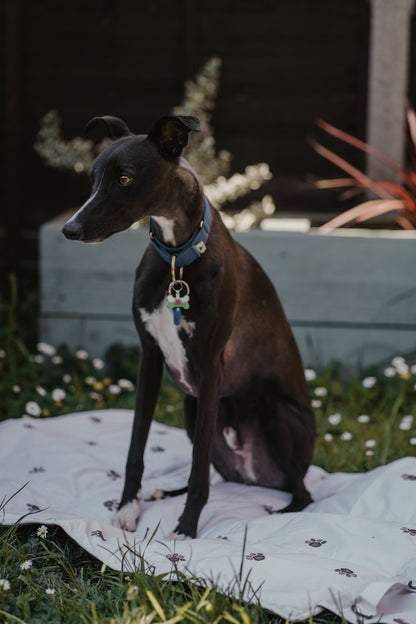 Portable Dog Travel Mat