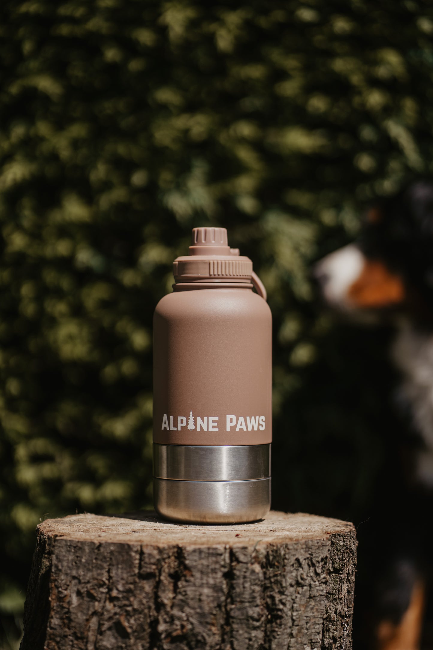 On the Go Travel Bottle