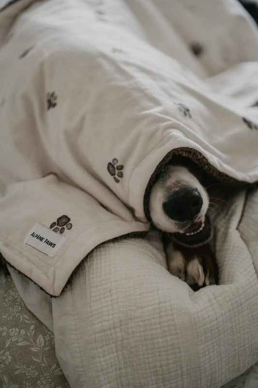 dog muzzle peaking out from a muddy paw design blanket