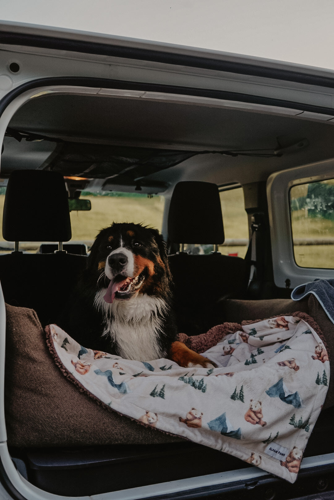 dog in back of Jimny car lying on alpine bear fleece blanket
