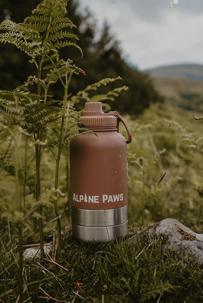 On the Go Travel Bottle