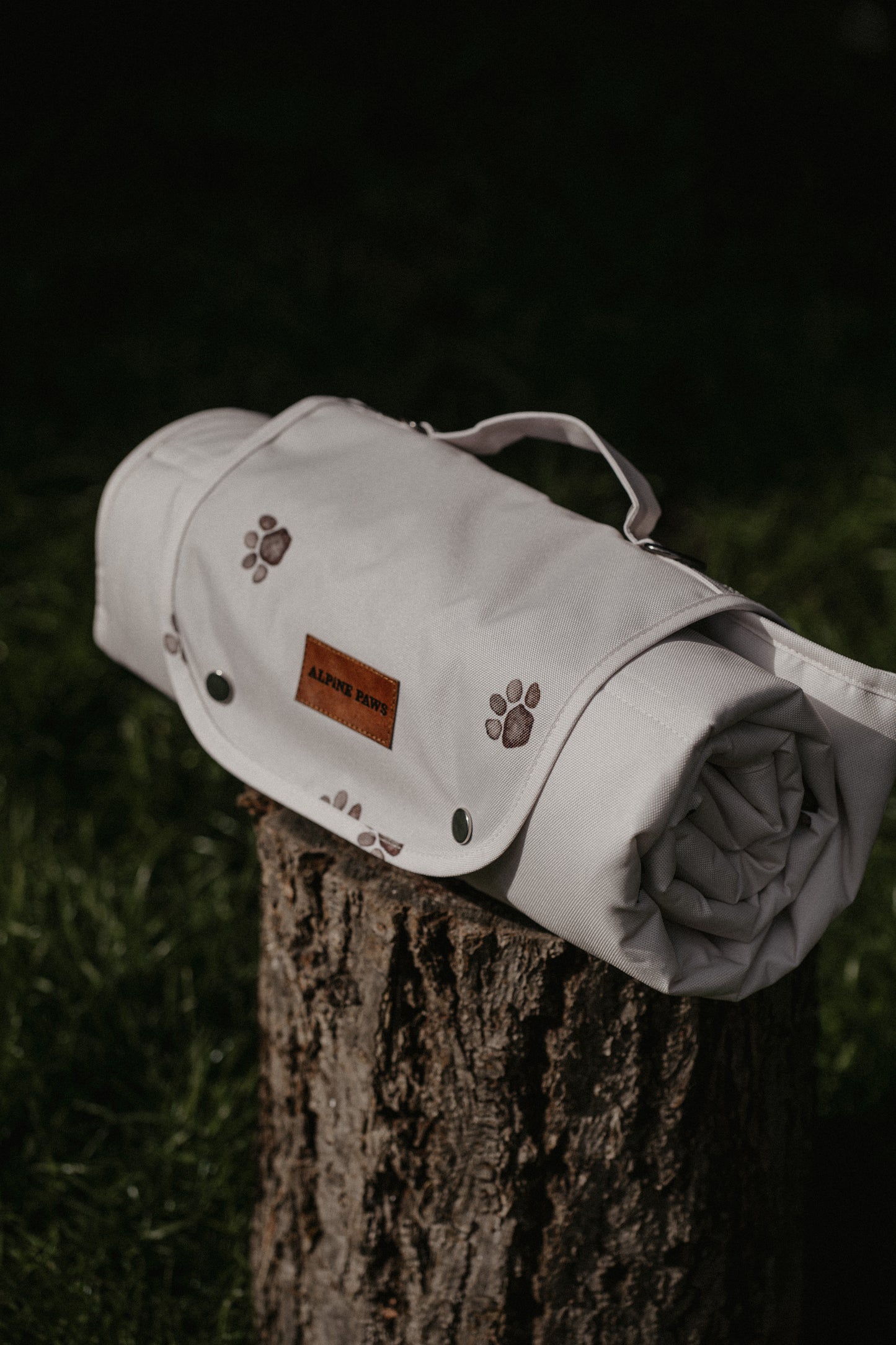 Muddy Paws Dog Travel Mat