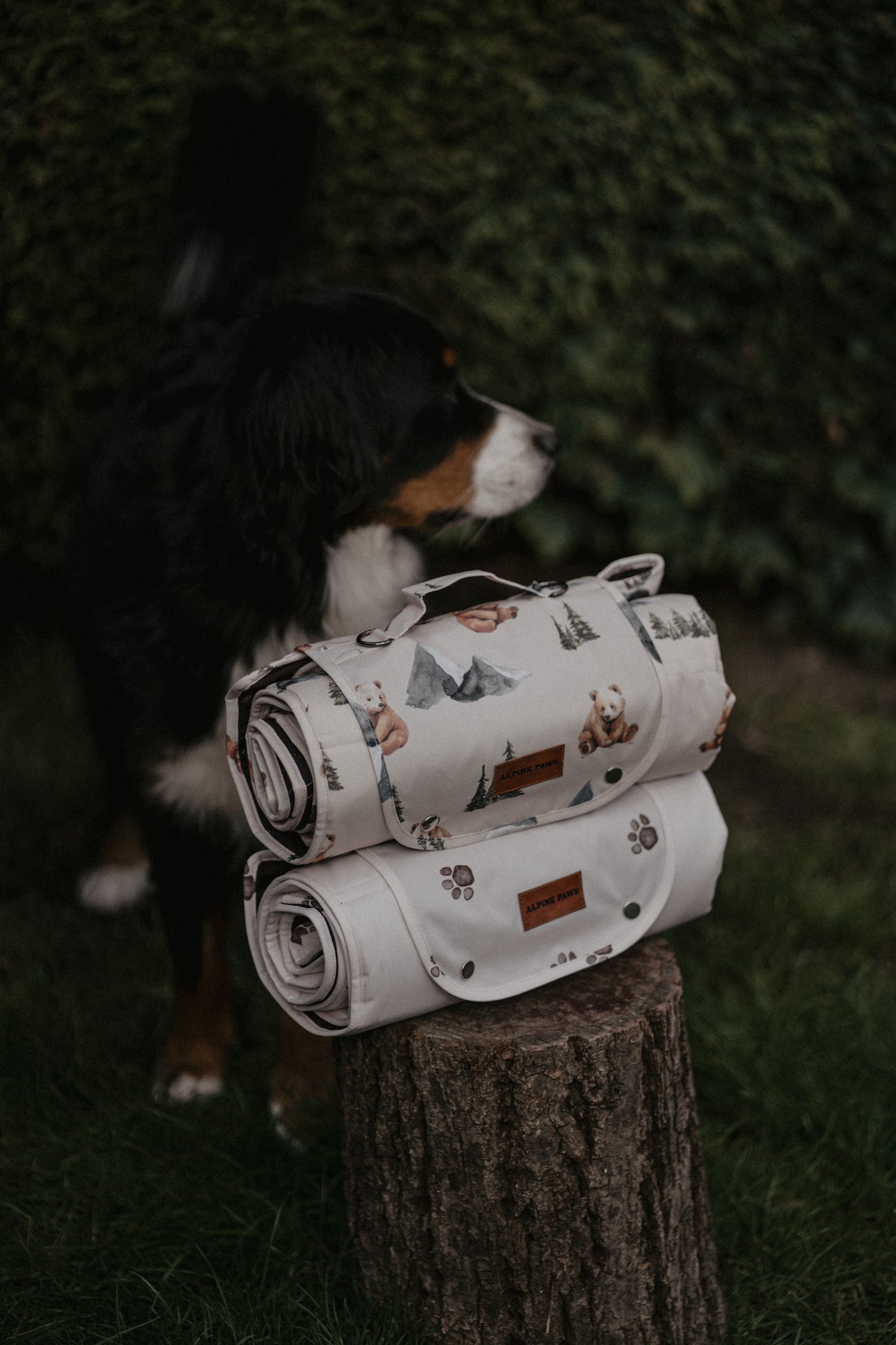 Alpine Bear Travel Mat