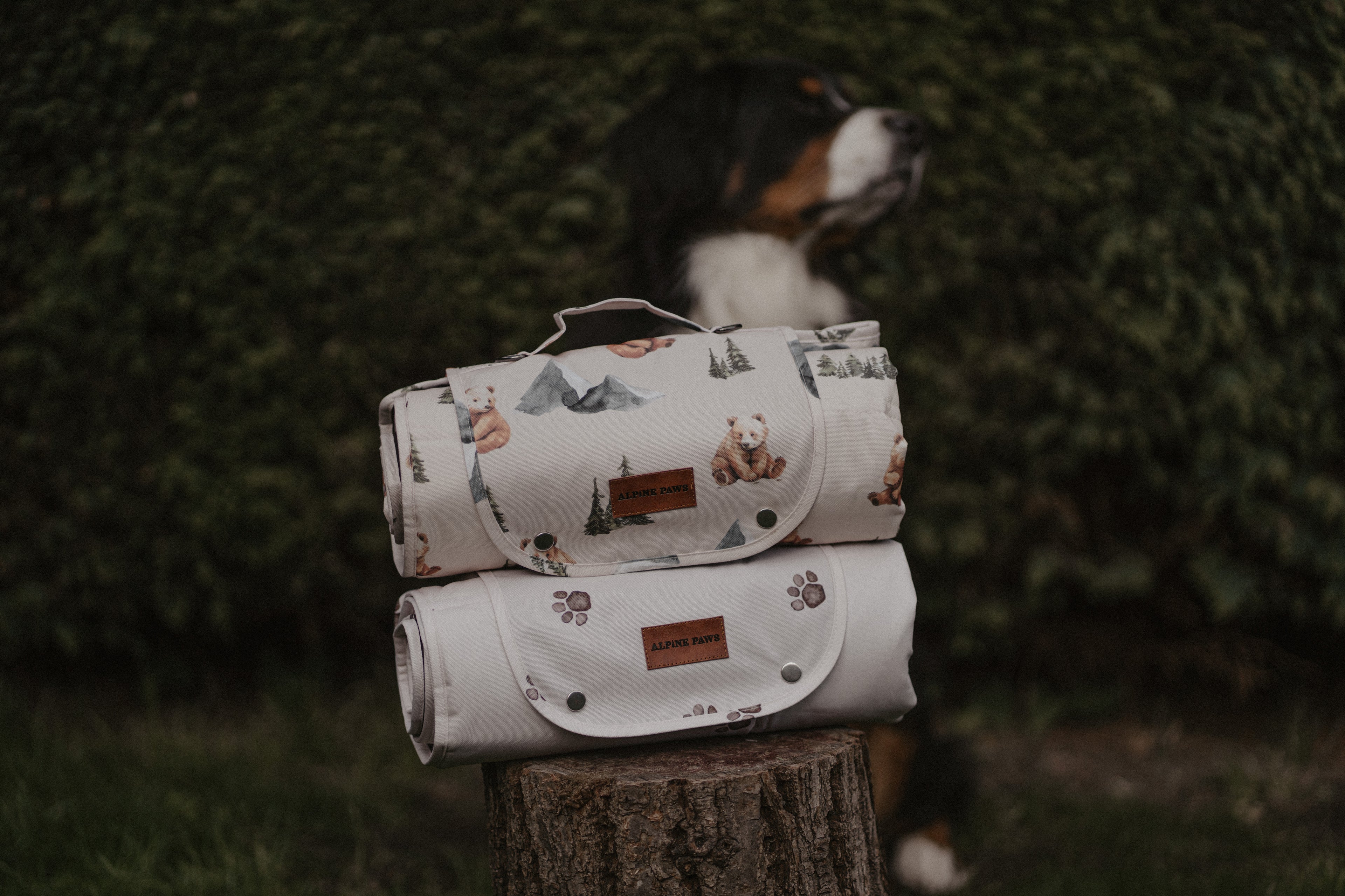travel mats on a log, bernese in the background