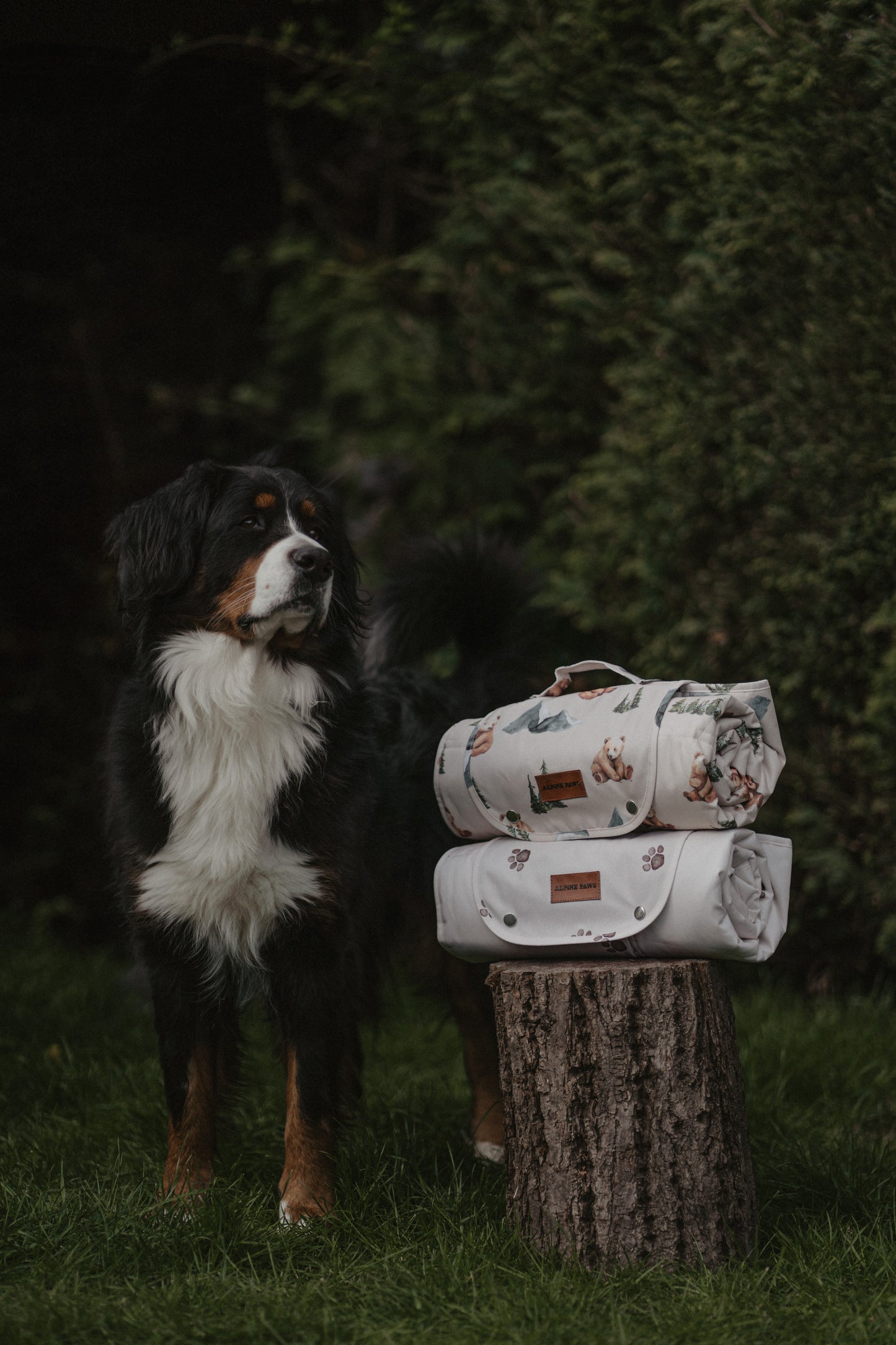 Muddy Paws Dog Travel Mat