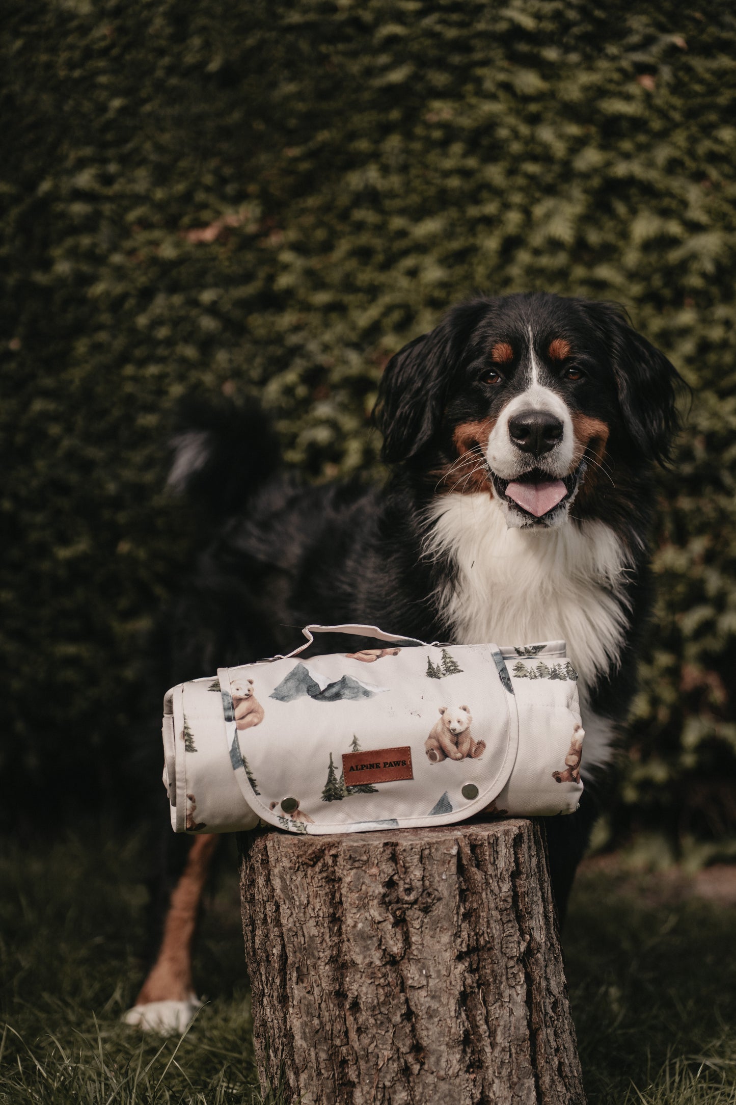 Alpine Bear Travel Mat