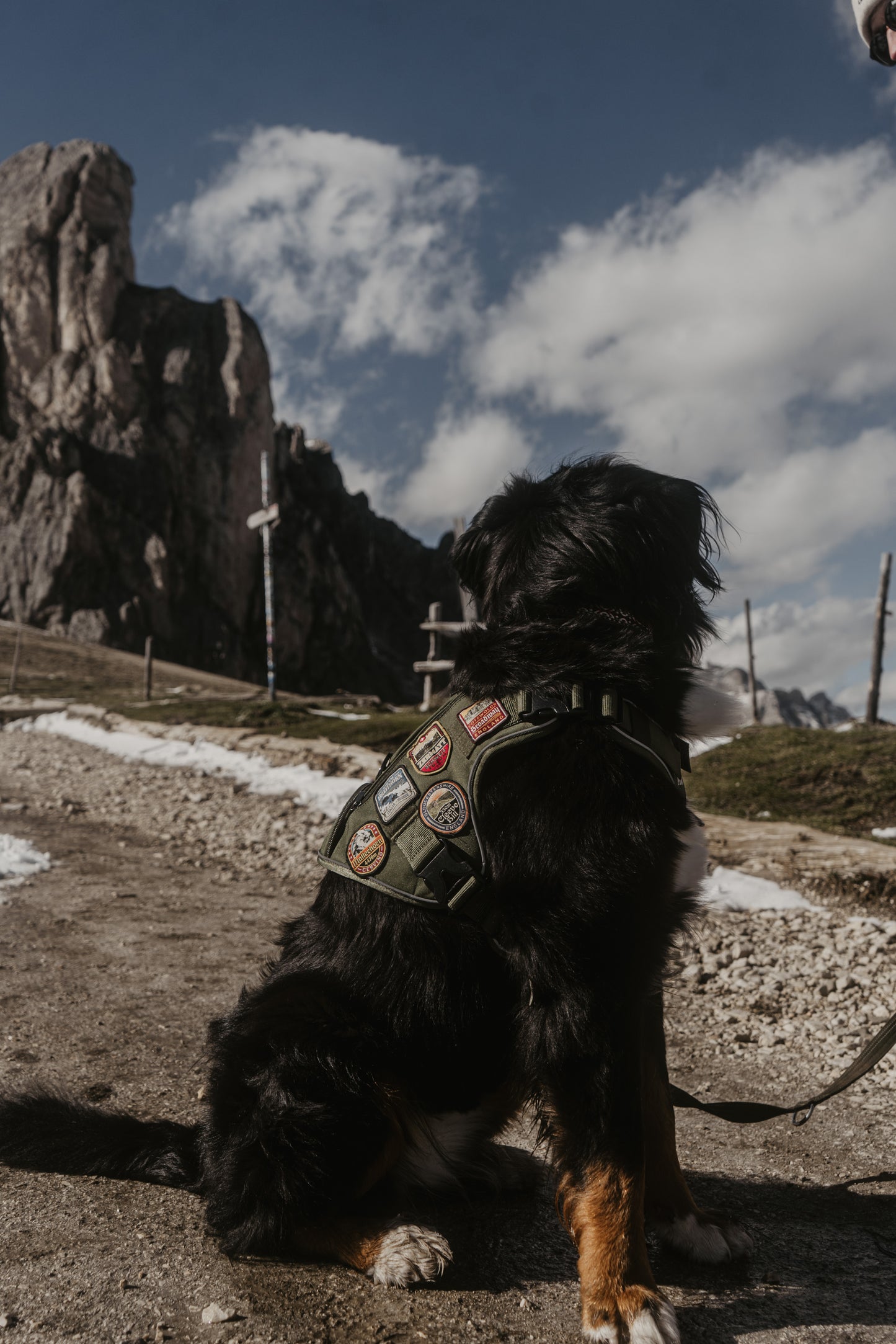 Alpine Adventure Harness - Peat Brown