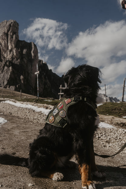 Alpine Adventure Harness - Peat Brown