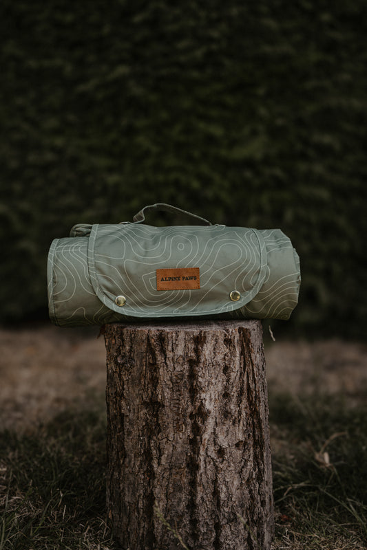 Topograph Forest Green Dog Travel Mat